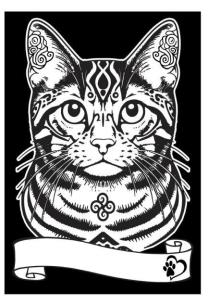 Opakowanie Kolorowanka welwetowa A4 Kot europejski