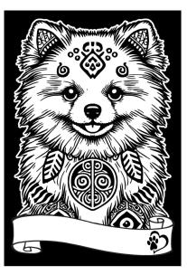 Opakowanie Kolorowanka Welwetowa A4 Szpic