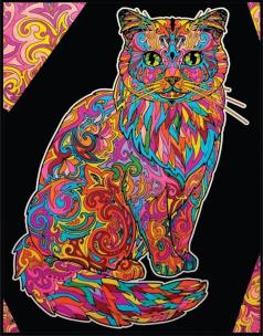 Opakowanie Kolorowanka welwetowa Kot długowłosy 47x35cm