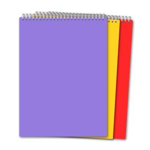 Opakowanie Kołozeszyt A4/80K na spirali TW kratka mix PENMATE