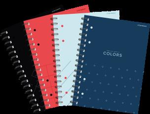 Opakowanie Kołozeszyt A4 80k. Top 2000 Colors 1szt.mix