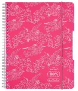 Opakowanie Kołozeszyt A5/80K kratka Colors różowy (4szt)