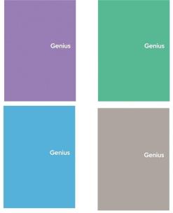 Opakowanie Kołozeszyt A6/80K kratka Genius mini 2 (4szt)