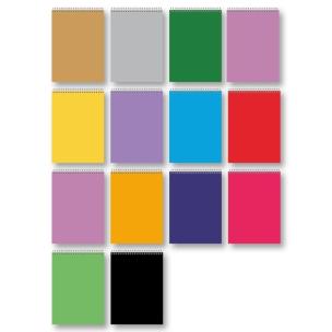 Opakowanie Kołozeszyt B5/80K na spirali TW kratka mix PENMATE