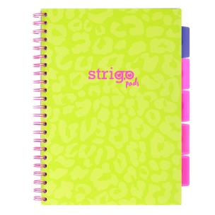 Kołozeszyt Strigo A4 Project Book Neon zielony kratka. Wydawca: Strigo. Multiszop.pl Opakowanie Kołozeszyt Strigo A4 Project Book Neon zielony kratka