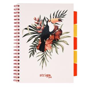 Kołozeszyt Strigo A4 Project Book Pelikan biały kratka. Wydawca: Strigo. Multiszop.pl Opakowanie Kołozeszyt Strigo A4 Project Book Pelikan biały kratka
