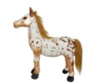 Opakowanie Koń tarantowaty 55cm