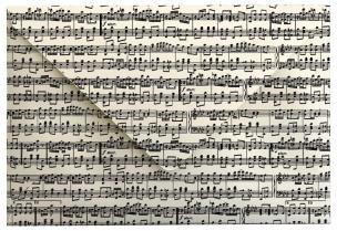 Opakowanie Koperta BSG.554 32x22cm Muzyka