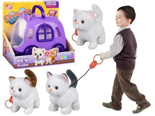 Opakowanie Kot na baterie z transporterem MIX