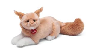 Opakowanie Kot rasy Maine Coon