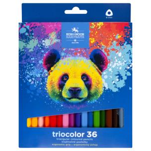 Kredki Triocolor Niedźwiedź  36 kolorów. Wydawca: Koh-I-Noor. Multiszop.pl Opakowanie Kredki Triocolor Niedźwiedź  36 kolorów