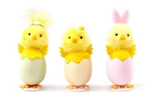Opakowanie Kurczaczek wielkanocny w skorupce mix