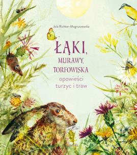 Okładka książki Łąki, murawy, torfowiska. Opowieści turzyc i traw