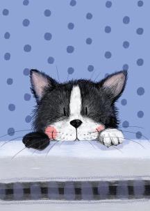 Opakowanie LDC16 Karnecik Mały kot Frisky