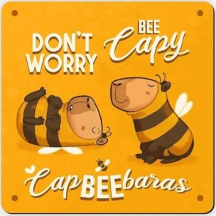 Opakowanie Magnes na lodówkę CapBEEbaras