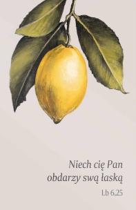 Opakowanie Magnes na lodówkę - Niech cię Pan obdarzy