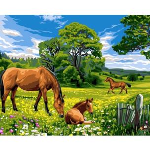Malowanie po numerach 40x50cm Konie na łące. Wydawca: Koh-I-Noor. Multiszop.pl Opakowanie Malowanie po numerach 40x50cm Konie na łące