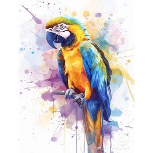 Malowanie po numerach 40x50cm Papuga. Wydawca: Koh-I-Noor. Multiszop.pl Opakowanie Malowanie po numerach 40x50cm Papuga