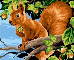 Malowanie po numerach 40x50cm Wiewiórka z.... Wydawca: Koh-I-Noor. Multiszop.pl Opakowanie Malowanie po numerach 40x50cm Wiewiórka z...