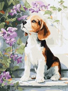 Opakowanie Malowanie po numerach - Beagle wśród kwiatów 30x40