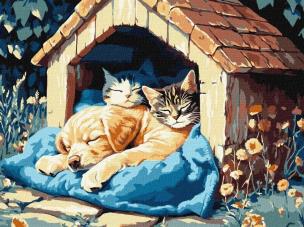 Opakowanie Malowanie po numerach - Cisza czasu 30x40cm