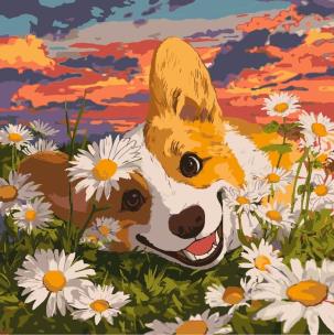 Opakowanie Malowanie po numerach - Corgi w stokrotka 40x40cm