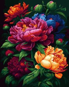 Opakowanie Malowanie po numerach czarne płótno - Kolorowe...