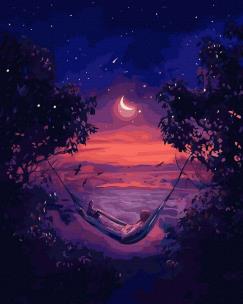 Opakowanie Malowanie po numerach czarne płótno - Nocna...