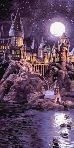 Opakowanie Malowanie po numerach - Harry Potter 40x80cm