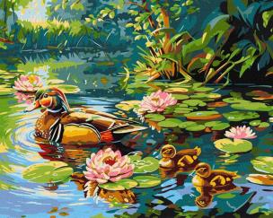 Opakowanie Malowanie po numerach - Kacza rodzina 40x50cm