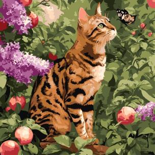 Opakowanie Malowanie po numerach - Kot bengalski 40x40cm