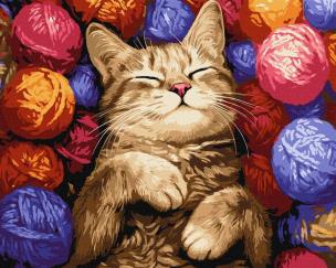 Opakowanie Malowanie po numerach - Kot w plątaninie 40x50cm