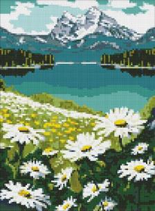 Opakowanie Malowanie po numerach - Kwitnące stokrotki 30x40cm