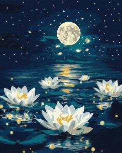 Opakowanie Malowanie po numerach - Lotos pod poświatą 40x50cm