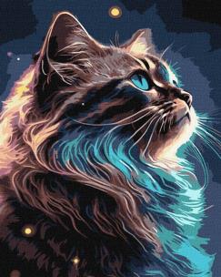 Opakowanie Malowanie po numerach - Magia kosmosu 40x50cm