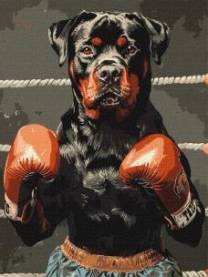 Opakowanie Malowanie po numerach - Moc ringu 30x40cm