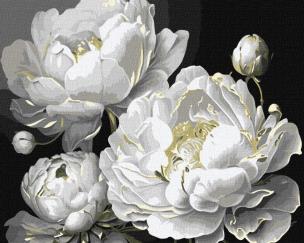 Opakowanie Malowanie po numerach - Nieskazitelne piękno 40x50