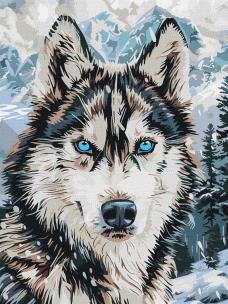 Opakowanie Malowanie po numerach -Oczy północy 3040cm