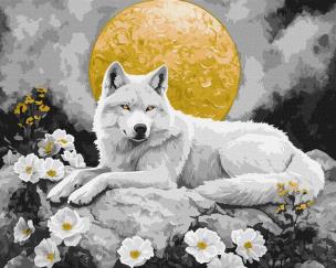 Opakowanie Malowanie po numerach - Pod blaskiem księżyca