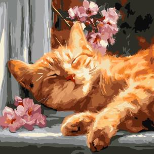 Opakowanie Malowanie po numerach - Rudy kot na parapecie