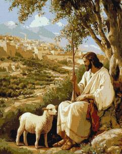 Opakowanie Malowanie po numerach - Spokój Duszy 40x50cm