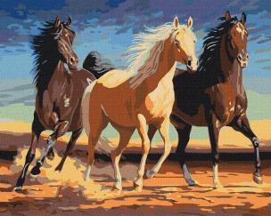 Opakowanie Malowanie po numerach - Stado 40x50cm