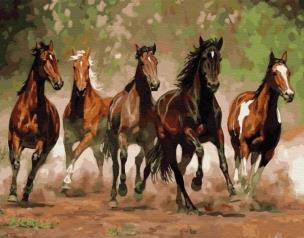 Opakowanie Malowanie po numerach - Stado koni 40x50cm