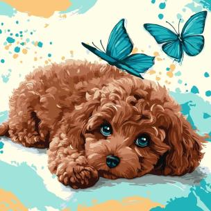 Opakowanie Malowanie po numerach - Uroczy pudel 40x40cm