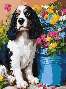 Opakowanie Malowanie po numerach - Uroczy spaniel 30x40cm