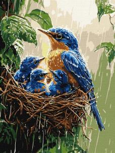 Opakowanie Malowanie po numerach - Wiosenny deszcz 30x40cm