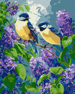 Opakowanie Malowanie po numerach - Wiosenny duet 30x40cm