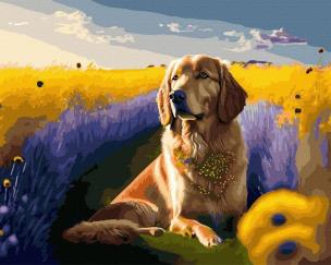 Opakowanie Malowanie po numerach + złota farba - Złoty pies..