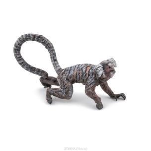 Opakowanie Marmozeta