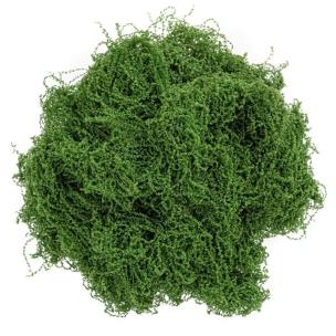 Opakowanie Mech dekoracyjny ciemnozielony 30g